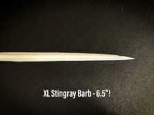 Large southern stingray for sale  Corpus Christi
