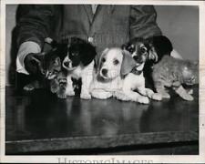1956 press photo for sale  Memphis