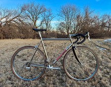 ace mongoose for sale ace mongoose for sale Breda