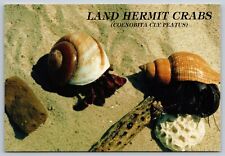 Postcard land hermit for sale  Newtown