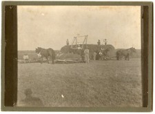 1880s 90s horse for sale  Joplin