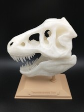 Rex tyrannosaurus rex for sale  Des Moines