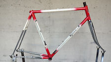Rossin record steel usato  Cormano
