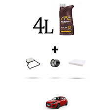 Hoffcar kit tagliando usato  Italia