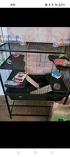 Large rodent hamster for sale  JOHNSTONE