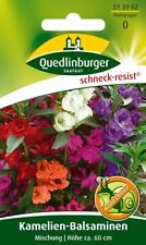 Kamelien balsaminen mischung gebraucht kaufen  Quedlinburg