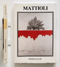 Carlo mattioli paesaggi usato  Roma