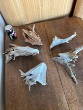 Driftwood pieces rounded for sale  UK