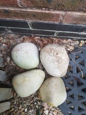White large cobble for sale  LUTTERWORTH