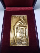 Medaille plaque bronze d'occasion  Naintré