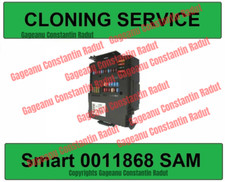 Cloning service a4519007600 for sale  GILLINGHAM