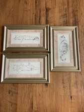 Adelene fletcher cats for sale  STEVENAGE