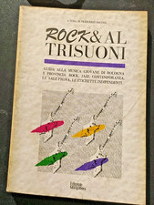 Rock altrisuoni bologna usato  Castel Maggiore