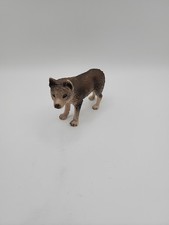 Grey wolf pup for sale  Tempe
