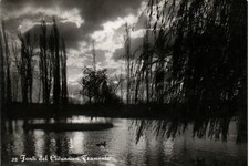 1957 fonti del usato 1957 fonti del usato  Trieste