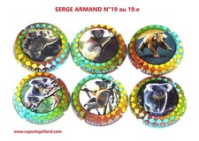Série capsules champagne d'occasion  Courcy