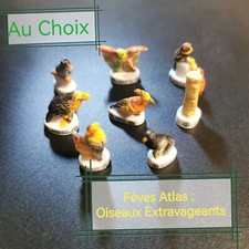 Choix fèves atlas d'occasion  Nouaillé-Maupertuis