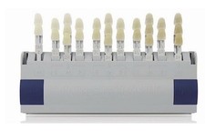 Vitapan master toothguide gebraucht kaufen  Ratekau