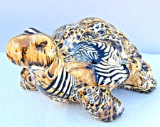 leopard tortoises for sale  Winchester