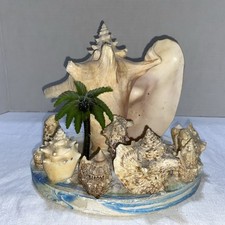 Vintage conch shell for sale  Decatur