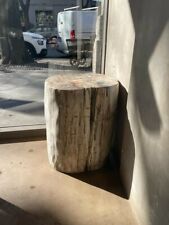Tronchi legno fossile usato  Milano