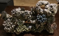 Aquarium coral reef for sale  Weatherford