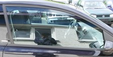 Polo fenster scheibe gebraucht kaufen  Borgentreich