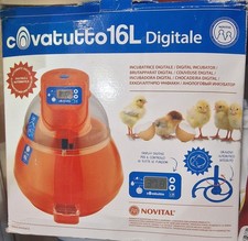 Incubatrice covatutto 16l usato  Bagheria