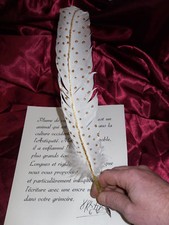 Plume cygne blanche d'occasion  Pierre-Châtel