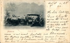 Ak Insel Madeira Portugal, Rinderschlitten - 4924461 comprar usado Ak Insel Madeira Portugal, Rinderschlitten - 4924461 comprar usado  Enviando para Brazil