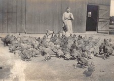 1915 woman feeding for sale  San Diego
