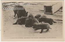 Rppc silver fox for sale  Dunsmuir
