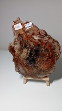 630g plaque bois d'occasion  Saverne