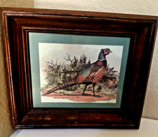 Vintage pheasant print for sale  Mckinney