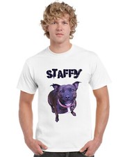 Staffy design staffordshire for sale  SANDOWN