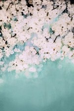 Kate backdrop floral for sale  Glenville