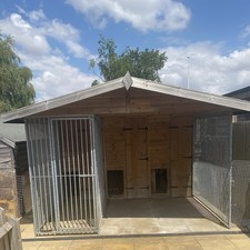 Triple dog kennels for sale  ST. NEOTS