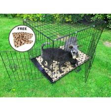 Avc pet dog for sale  COLCHESTER