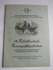 Kirchberg rödelbachtal rasseg gebraucht kaufen  Bernsbach