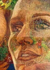 Bev doolittle nature for sale  Estancia