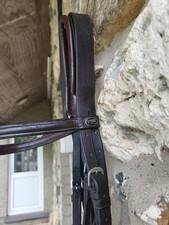 passier bridle for sale  PWLLHELI