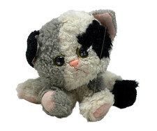 Kitty kitty kittens for sale  Cartersville