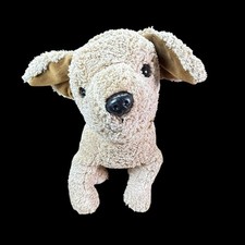 Classic brown puppy for sale  Burgaw
