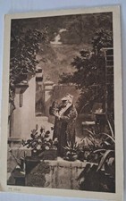 Kaktusfreund . spitzweg gebraucht kaufen  Hamburg