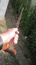 Irish hammerhead blackthorn for sale  BRIGHTON