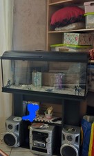 Acquario con mobile usato Acquario con mobile usato  Venetico