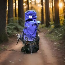 Gregory backpack mens for sale  Hunlock Creek