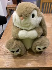 Large bunny rabbit for sale  NORWICH