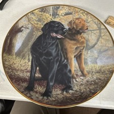 Franklin mint lifelong for sale  Henderson