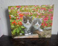 Keith kimberlin kittens for sale  FRINTON-ON-SEA